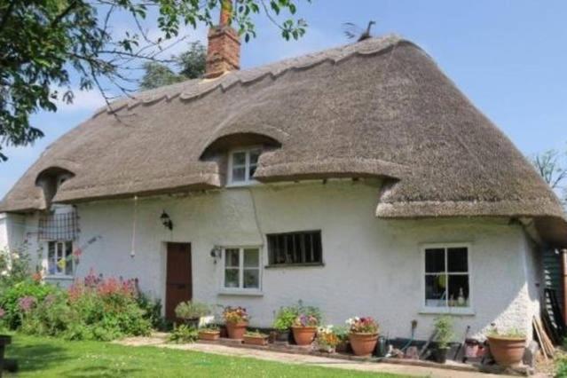 Entire Thatched Cottage Melbourn Exterior photo